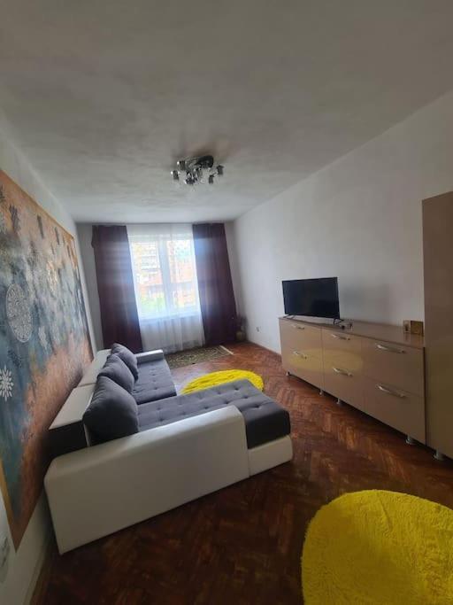 Mural Art Apartament Petroşani Eksteriør bilde